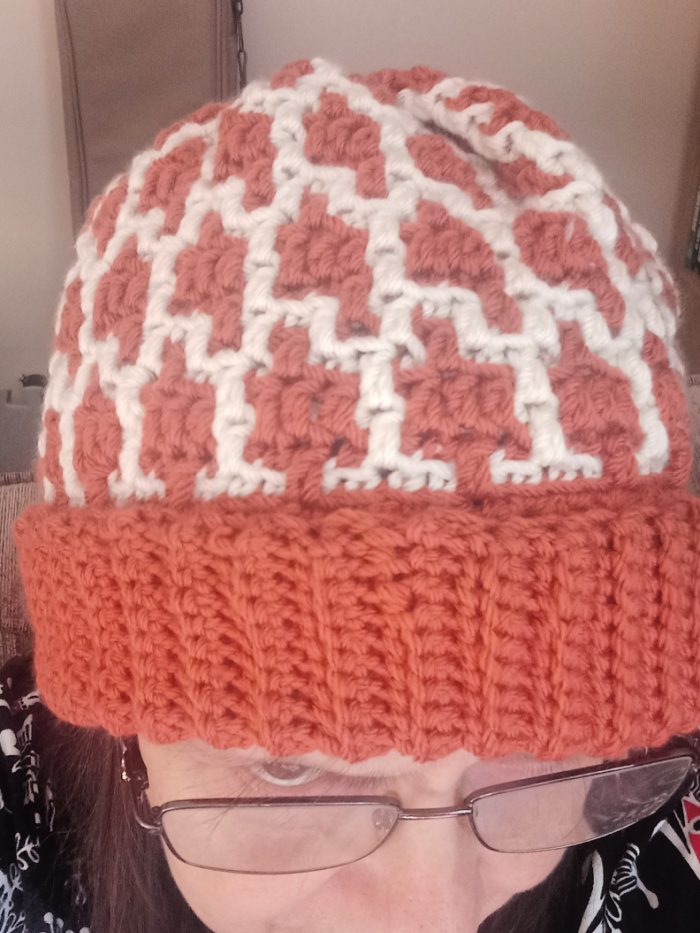 crochet mosaic hat on my head