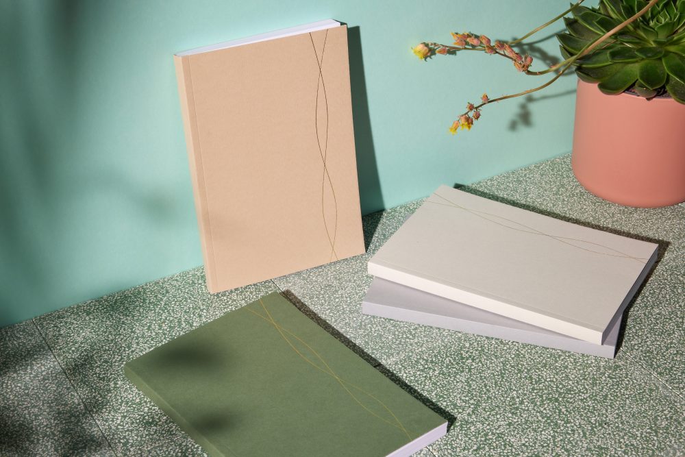 Image shows display of three notebooks one standing is in stone colour, two lying down are green and mist coloured. There is also a pot plant in the corner of the photograph. Shop sale photo