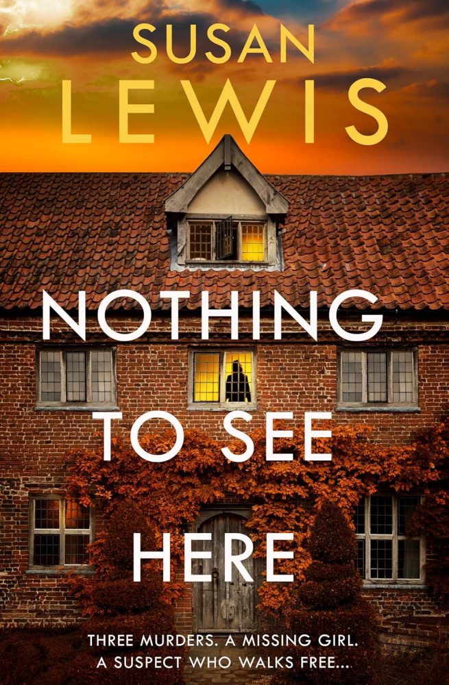Nothing to See here book cover, a house with one lit window with a person visible.